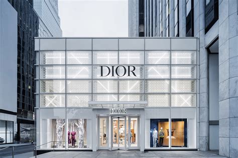 dior shoo|dior boutique.